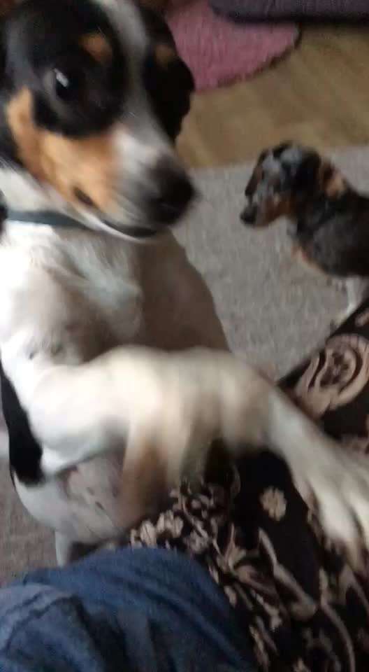 Das Gefühl das es nicht passt...-Beitrag-Bild