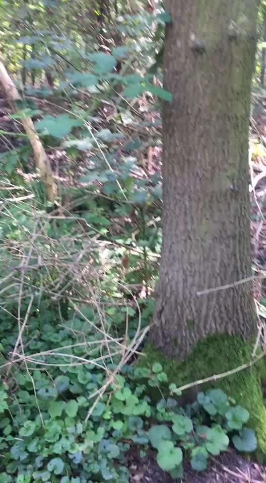 Was hat euch heute gefreut?-Beitrag-Bild