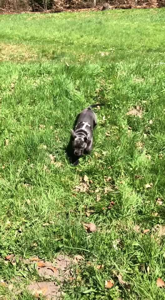 42. Handy Video Challenge-Beitrag-Bild