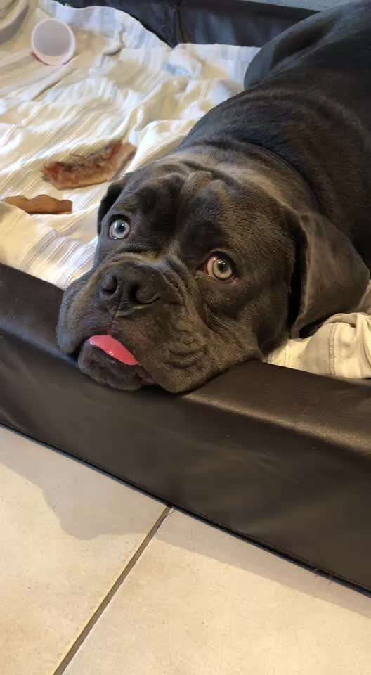 Video Challenge Nr. 4 - Lecker, Lecker-Beitrag-Bild