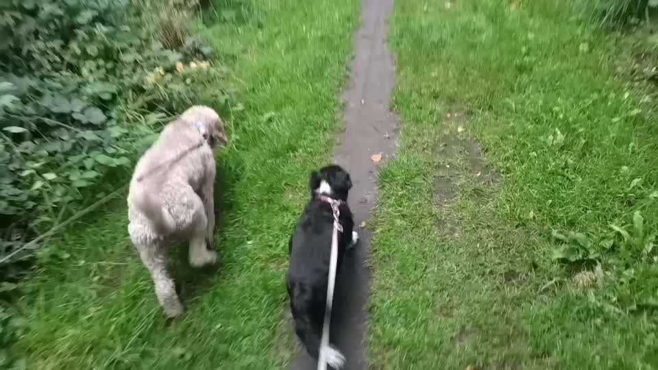 46. Video Challenge - Trainingserfolg-Beitrag-Bild