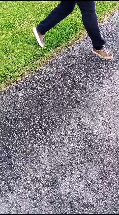 TierschutzhundeStammtisch🐕-Beitrag-Bild