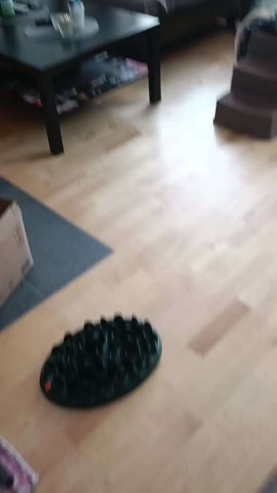 TierschutzhundeStammtisch🐕-Beitrag-Bild