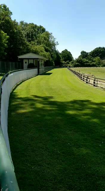 Windhunde - Treffen der besonderen Schönheiten
HERZLICH WILLKOMMEN-Beitrag-Bild