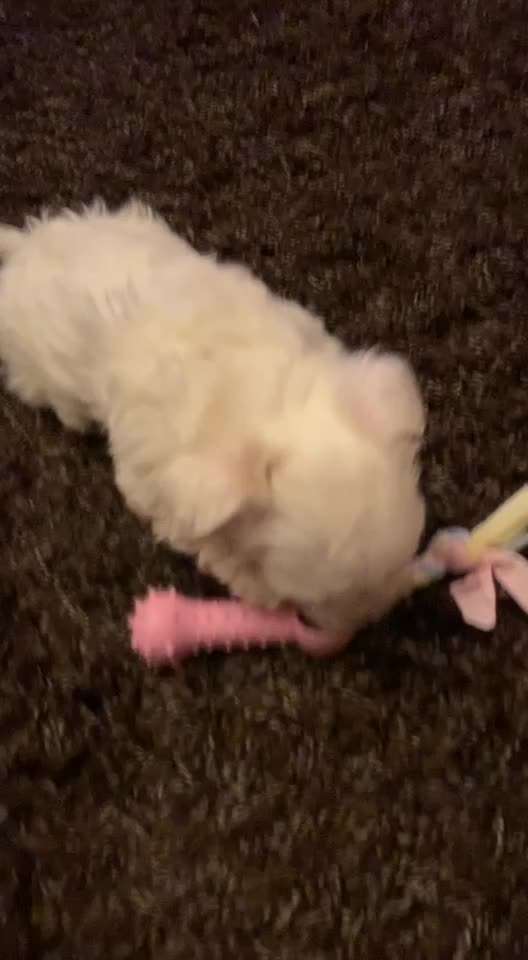 Unser Nachwuchs-Beitrag-Bild