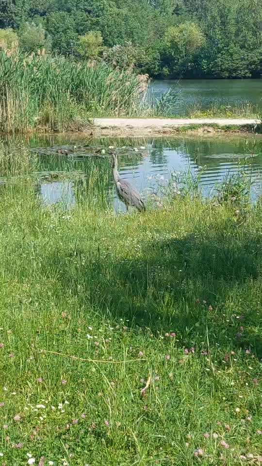 aktuelles Foto Gruppe Wandern und Outdoor
