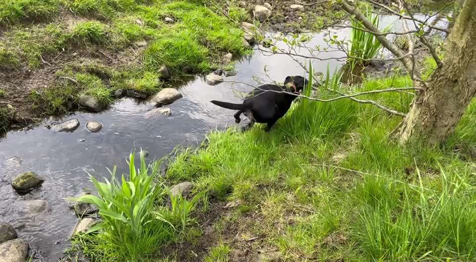 50. Video Challenge - Wasserscheu oder nicht-Beitrag-Bild