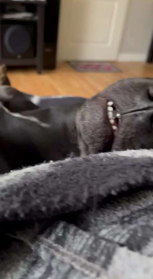 40. Handy Video Challenge - Im Land der Träume-Beitrag-Bild