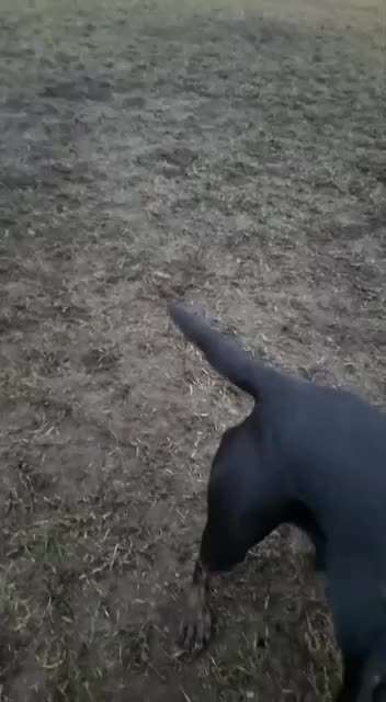 15. Video Challenge.  In SloMo die Welt erkunden!-Beitrag-Bild