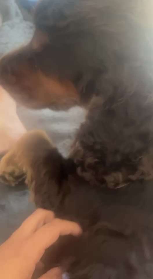 Rückwärtsniesen?-Beitrag-Bild