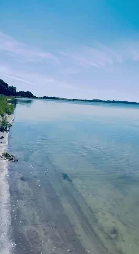 Ostsee mit Hund - Hundestrandnähe-Beitrag-Bild