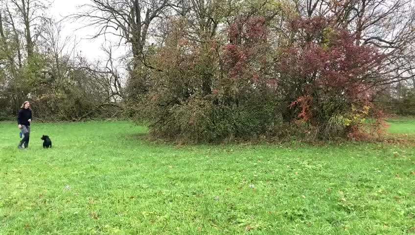 Trick Challenge Nr.5-Beitrag-Bild