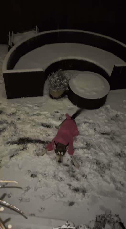 Hier ist der Spaßthread. Zum Schmunzeln und Kaputtlachen-Beitrag-Bild