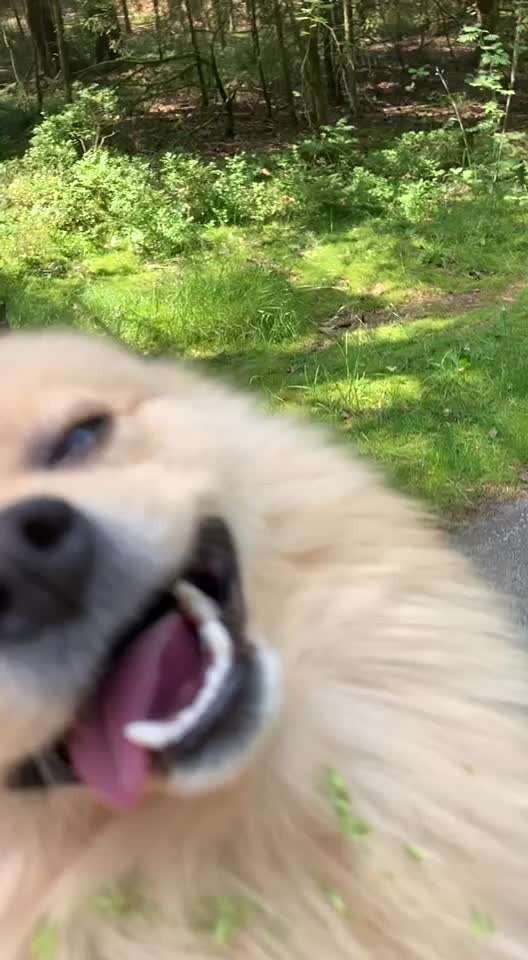 Hitze?!-Beitrag-Bild