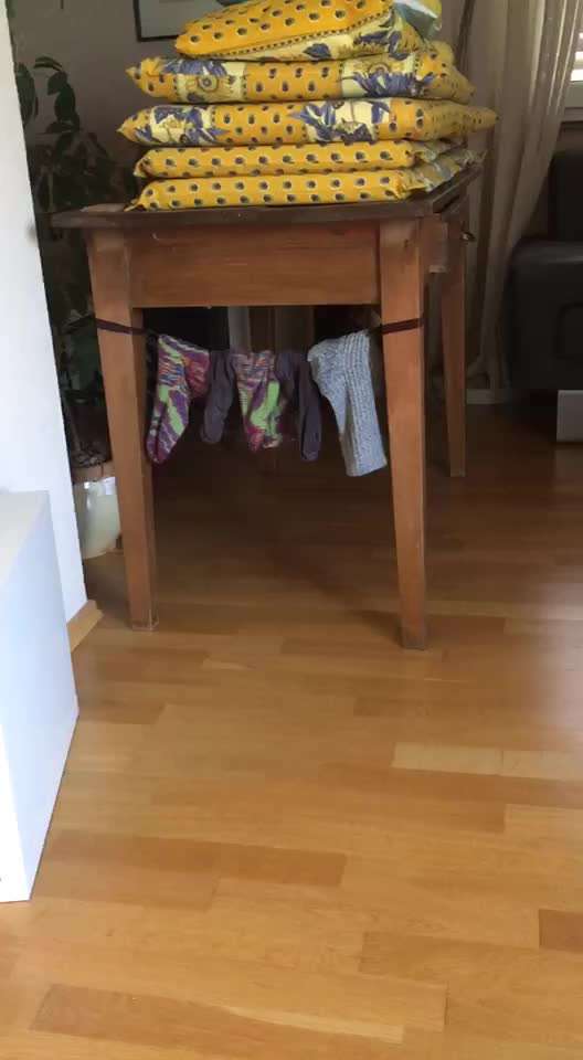 Beschäftigung nach OP (Kastration)-Beitrag-Bild