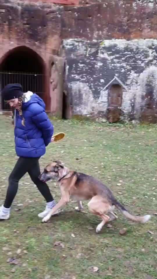 Trick Challenge Nr 6-Beitrag-Bild