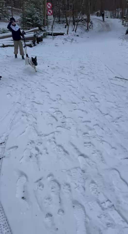 Was hat euch heute gefreut?-Beitrag-Bild