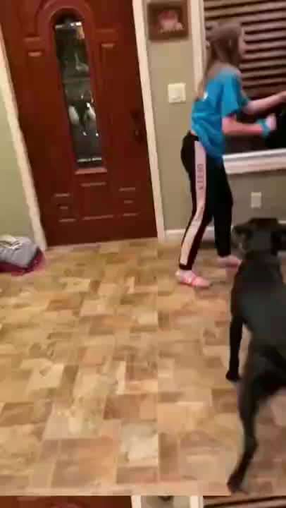 Hier ist der Spaßthread. Zum Schmunzeln und Kaputtlachen-Beitrag-Bild