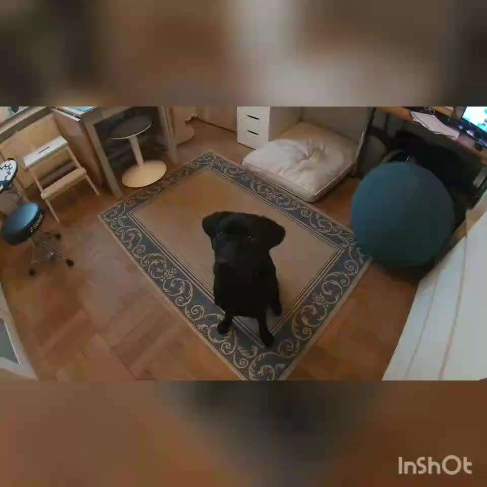 𝕋ℝ𝕀ℂ𝕂 ℂℍ𝔸𝕃𝕃𝔼ℕ𝔾𝔼 ℕℝ. 𝟙-Beitrag-Bild