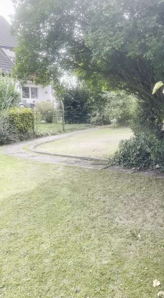 Wo sind die Golden Retriever Liebhaber?-Beitrag-Bild