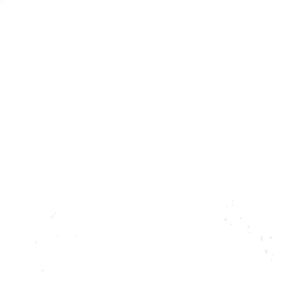 Wo sind die Golden Retriever Liebhaber?-Beitrag-Bild