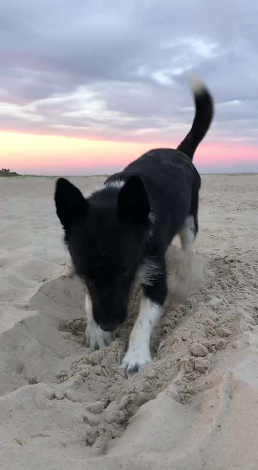 Eure Strandbilder :)-Beitrag-Bild