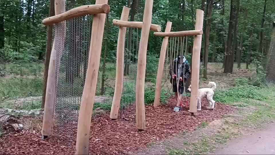 Unser bester Freund-Beitrag-Bild