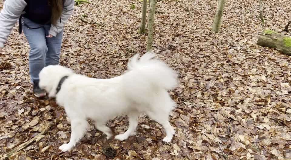 Trick Challenge Nr.5-Beitrag-Bild