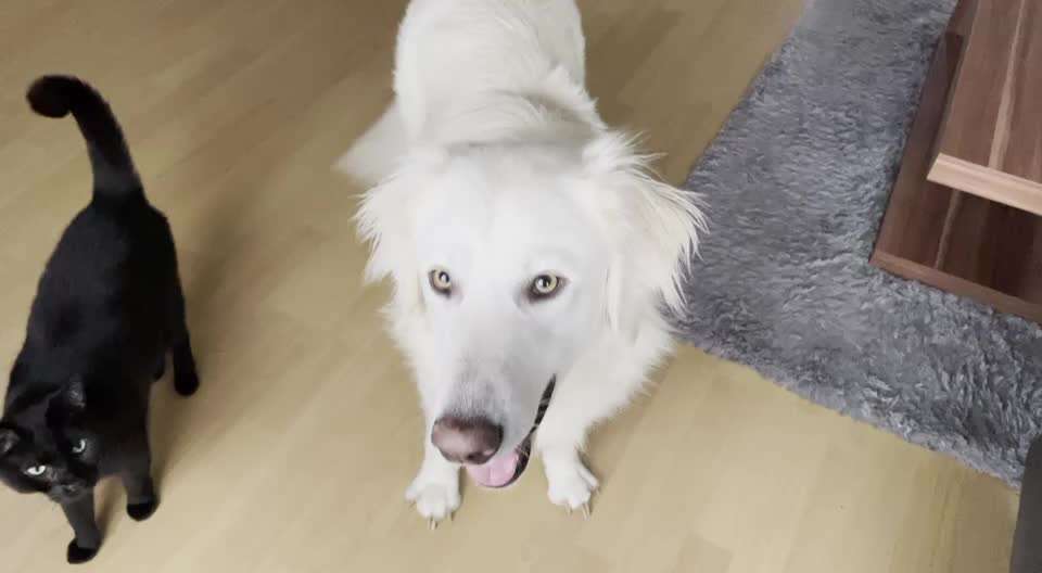 𝕋ℝ𝕀ℂ𝕂 ℂℍ𝔸𝕃𝕃𝔼ℕ𝔾𝔼 ℕℝ. 𝟙-Beitrag-Bild