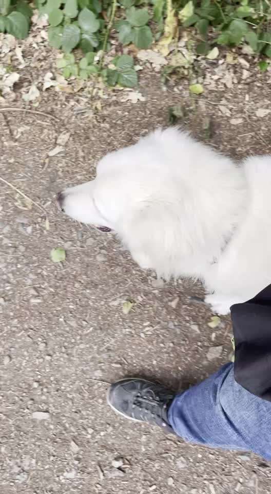 Ein Finger challenge-Beitrag-Bild