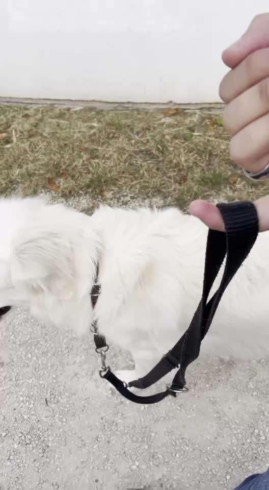 Ein Finger challenge-Beitrag-Bild