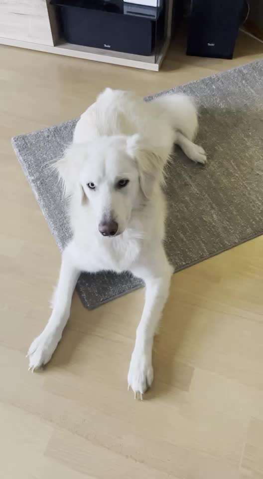 𝕋ℝ𝕀ℂ𝕂 ℂℍ𝔸𝕃𝕃𝔼ℕ𝔾𝔼 ℕℝ. 𝟚-Beitrag-Bild