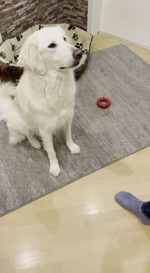 Trick Challange Nr 3-Beitrag-Bild