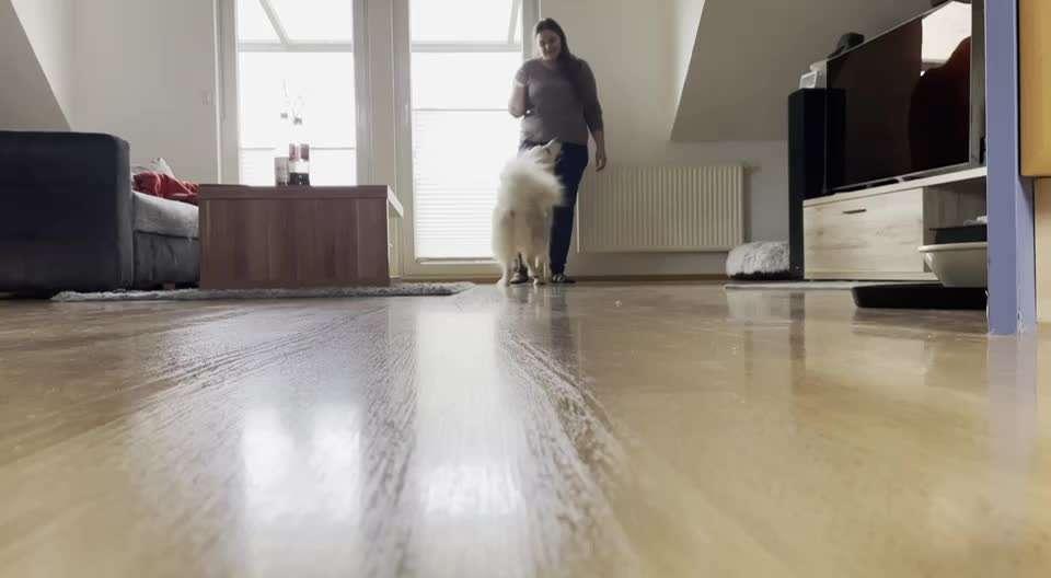 Trick Challenge Nr 6-Beitrag-Bild