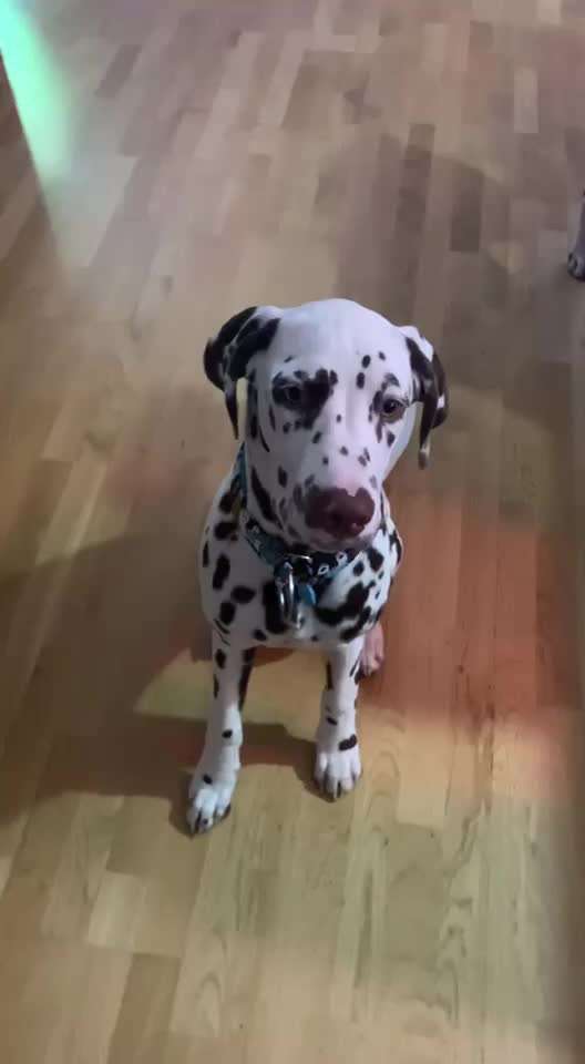 Trick Challenge ABC-Beitrag-Bild