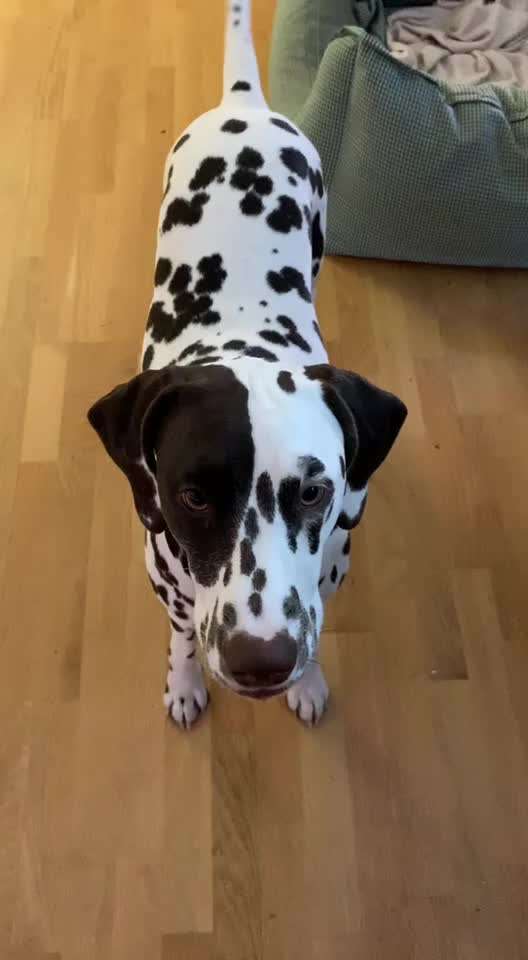 𝕋ℝ𝕀ℂ𝕂 ℂℍ𝔸𝕃𝕃𝔼ℕ𝔾𝔼 ℕℝ. 𝟙-Beitrag-Bild