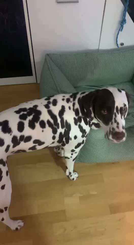 Trick Challenge ABC-Beitrag-Bild