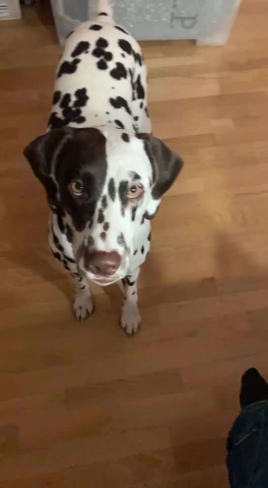 𝕋ℝ𝕀ℂ𝕂 ℂℍ𝔸𝕃𝕃𝔼ℕ𝔾𝔼 ℕℝ. 𝟙-Beitrag-Bild