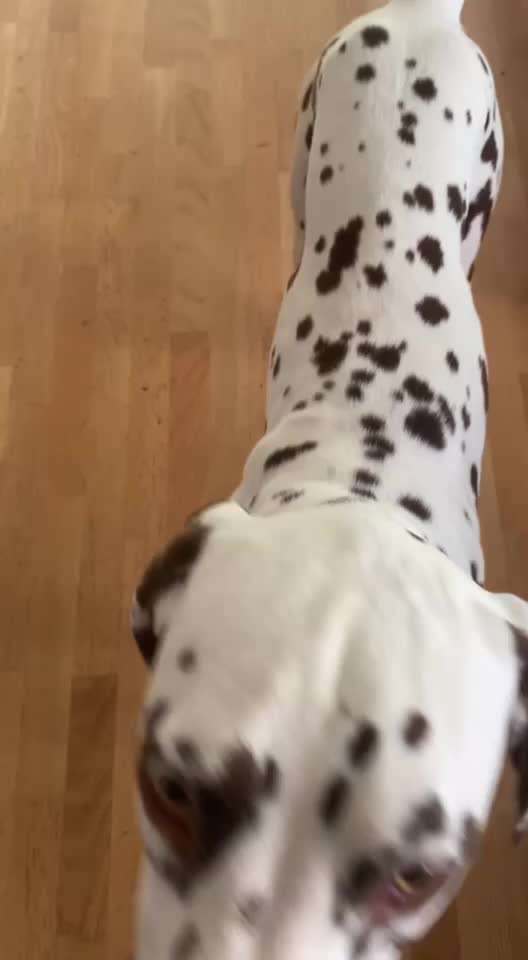 Bellen aus Frust-Beitrag-Bild