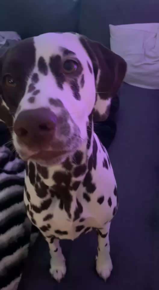 Trick Challenge ABC-Beitrag-Bild