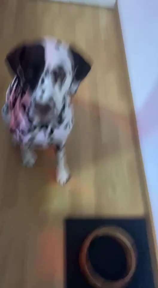 Trick Challenge ABC-Beitrag-Bild