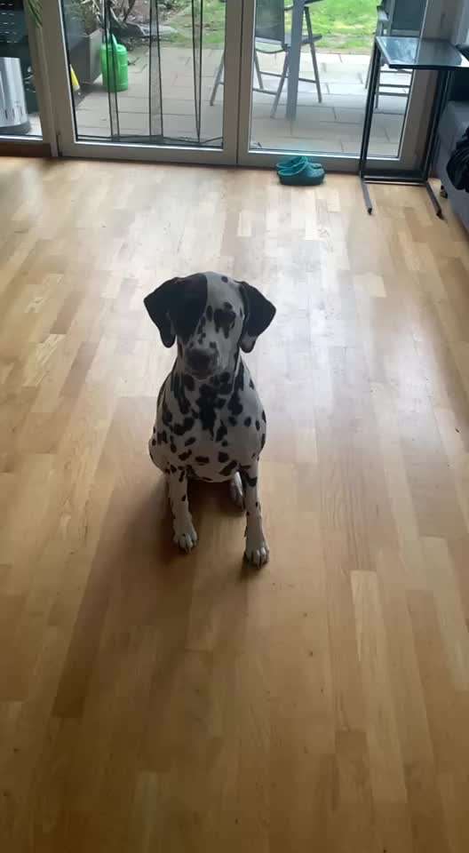 Trick Challenge ABC-Beitrag-Bild