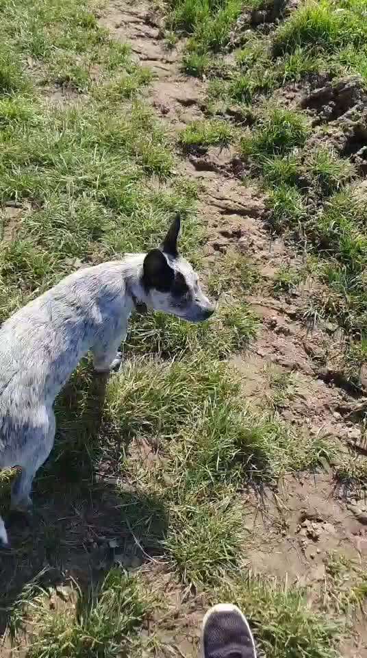 Zeigt mir eure Lieblingsfotos ♡♡-Beitrag-Bild