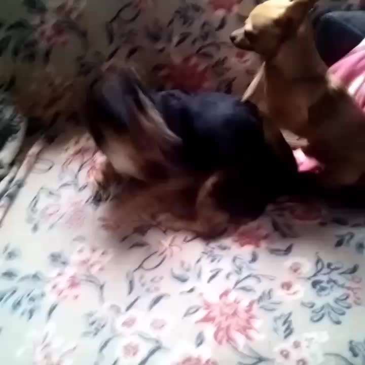 Was sagt euch der Blick ?-Beitrag-Bild