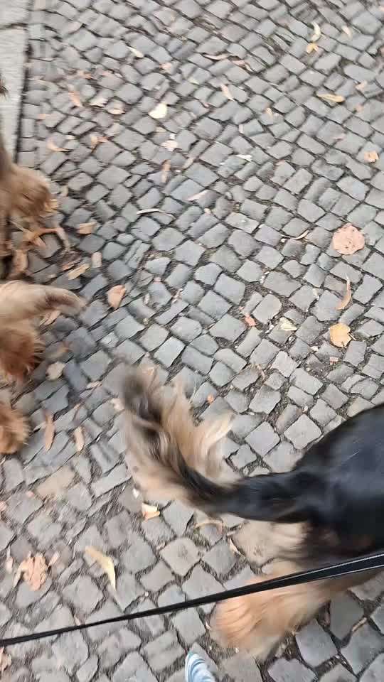 Filmt ihr eure Trainingsfortschritte?-Beitrag-Bild