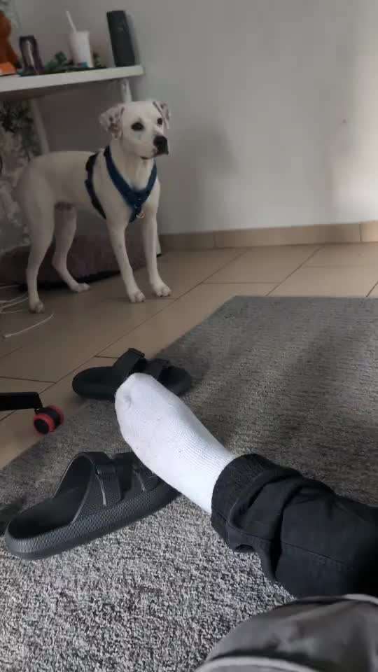 Angst vorm Partner-Beitrag-Bild