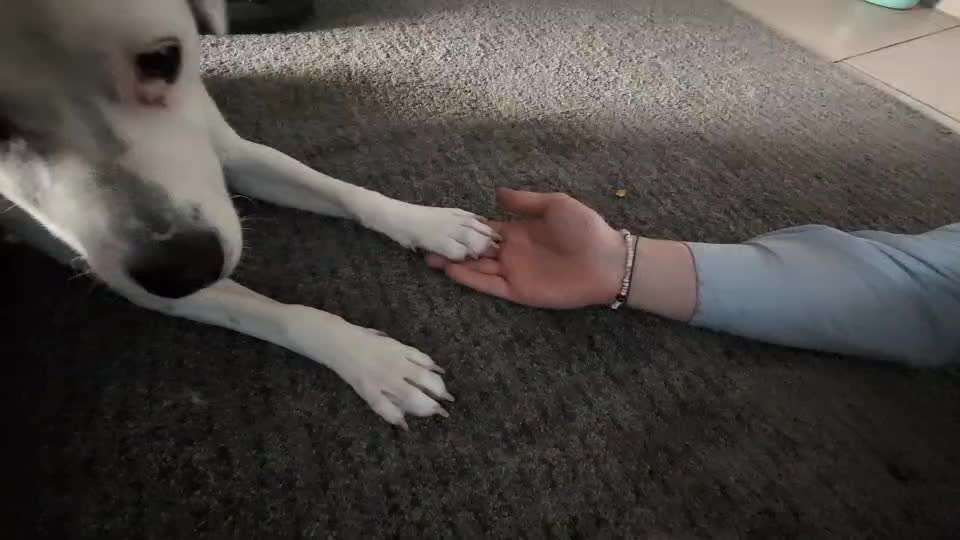 Angst vorm Partner-Beitrag-Bild