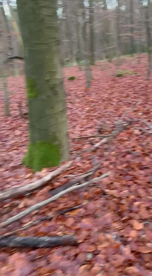 "Wege zur Freundschaft" (Ulli Reichmann)-Beitrag-Bild