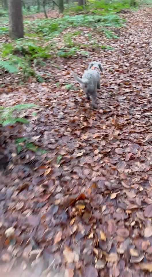 "Wege zur Freundschaft" (Ulli Reichmann)-Beitrag-Bild