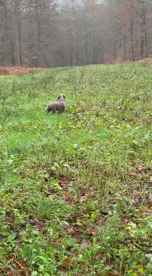 "Wege zur Freundschaft" (Ulli Reichmann)-Beitrag-Bild